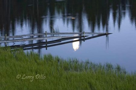 Moonlight on pond, British Columbia, June
