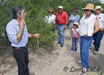 Learning about native plants in south Texas.