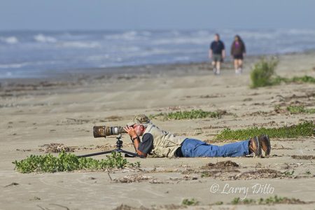 Photographing along Galveston Beach
