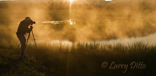 Photographing a marsh in Yellowstone Natl. Park, Wyoming, June, at sunrise