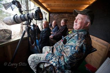 Bird photographers in photo blind.