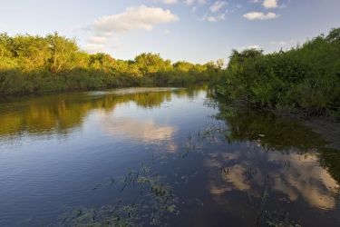 Resaca de la Palma at Resaca de la Palma World Birding Center near Brownsville, Texas. The waterway is an oxbow of the Rio Grande.