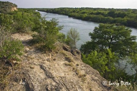 Rio Grande below Falcon Dam in s. Texas.
