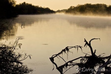 Fog lifting from the Rio Grande at Salineno, Texas at sunrise, early February.