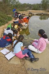 4th graders learning about water quality and aquatic life with hands-on experience at the Edinburg World Birding Center in Edinburg, Texas