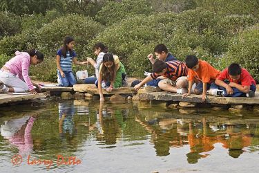 Elementary School children studying water quality and aquatic life at Edinburg, Texas World Birding Center