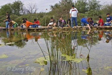 Elementary School children studying water quality and aquatic life at Edinburg, Texas World Birding Center