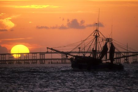 Commercial Fishing Boat (Shrimper) from the Port of Brownsville in the Laguna Madre at sunset