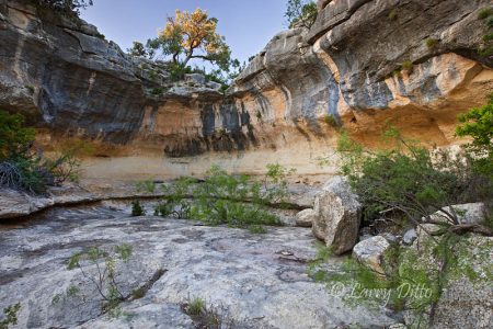 Hoak Ranch Spillover