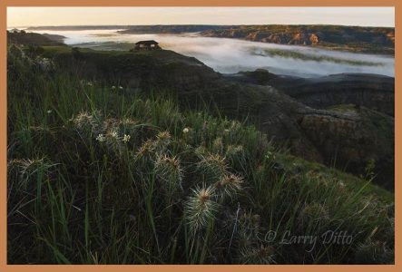 Theodore Roosevelt National Park, N.D.