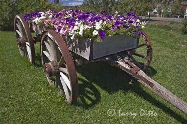 Old, horse-drawn wagon with a load of flowers, lawn decoration at restaurant, Pagosa Springs, Colorado