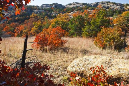 Fall Colors at Wichta Mts Natl Wildlife Refuge, Oklahoma