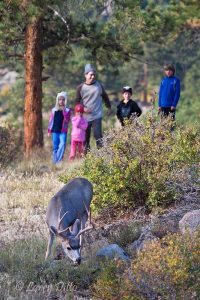 Kids watching wildlife