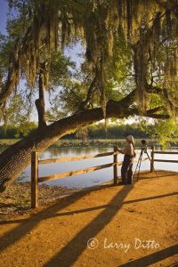 Photographing landscape