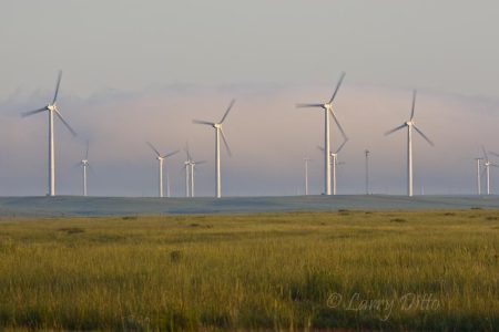 windfarm at sunrise