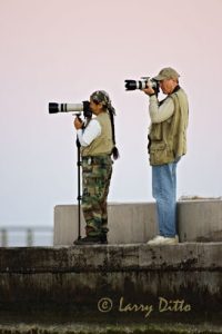 Photographing birds with telephoto lenses