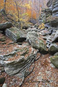 Autumn in Buffalo National River forest, Lost Canyon near Harrison, Arkansas
