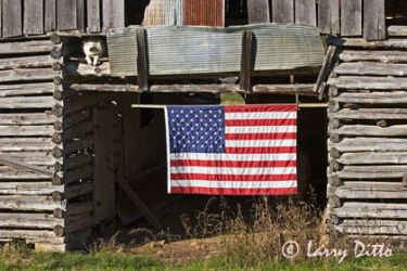 U.S. flag and cow dog guard the entry way to an old log barn near Jasper, Arkansas, Ozark Mountains, autumn