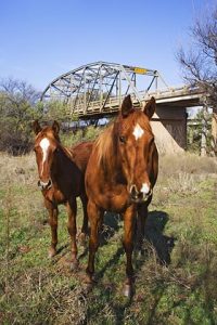 Historic bridge at Fort Griffin, Texas on the Clear Fork of the Brazos River.