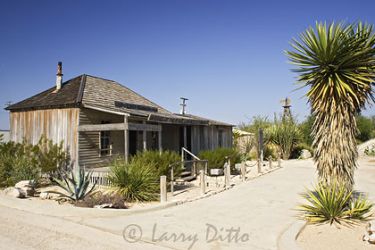 Judge Roy Bean's court in the Jersey Lily Saloon.