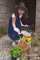 Little girl gardening for grandma.