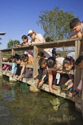 Students studying water quality and aquatic life.