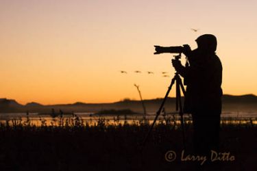 Photographer working at sunrise.