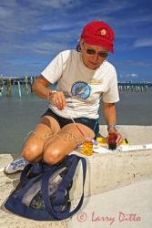 Monitoring "red tide" on the lower Texas coast.