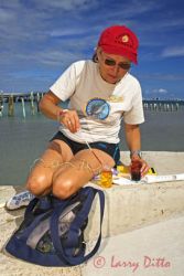 Monitoring "red tide" on the lower Texas coast.
