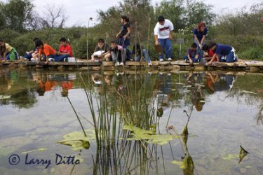 Science class studying aquatic life