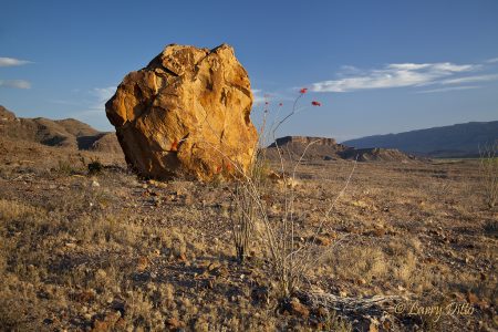 Boulder at Castalon Peak in Big Bend National Park