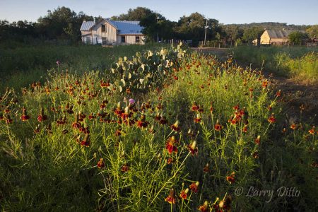 Turkey Hollow house at Block Creek Natural Area
