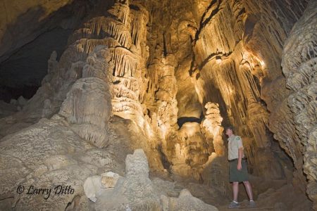 Large stalagmite formations in Kickapoo Caverns can be seen during twice monthly tours guided by Texas Parks and Wildlife Department employees. Seth Frerich helps light this scene for a photograph.
