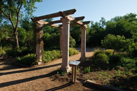 At the North American Butterfly Association butterfly park, this archway is where your butterfly safari begins. The trailhead, office and parking lot are surrounded by acres of butterfly plants.