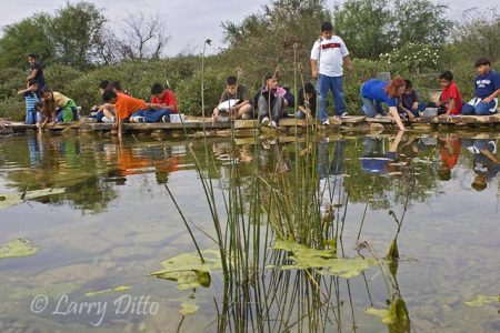 Elementary School children studying water quality and aquatic life at Edinburg, Texas World Birding Center